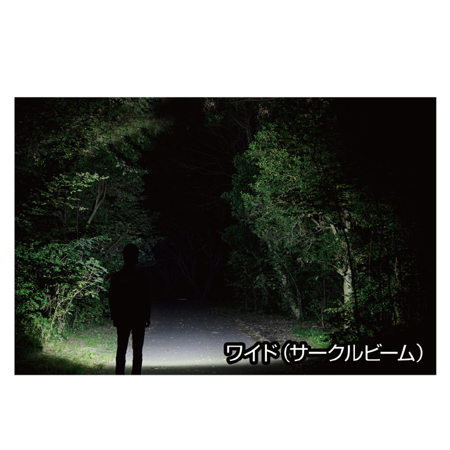 LEDヘッドライトHLP-2303 参考画像 - 2