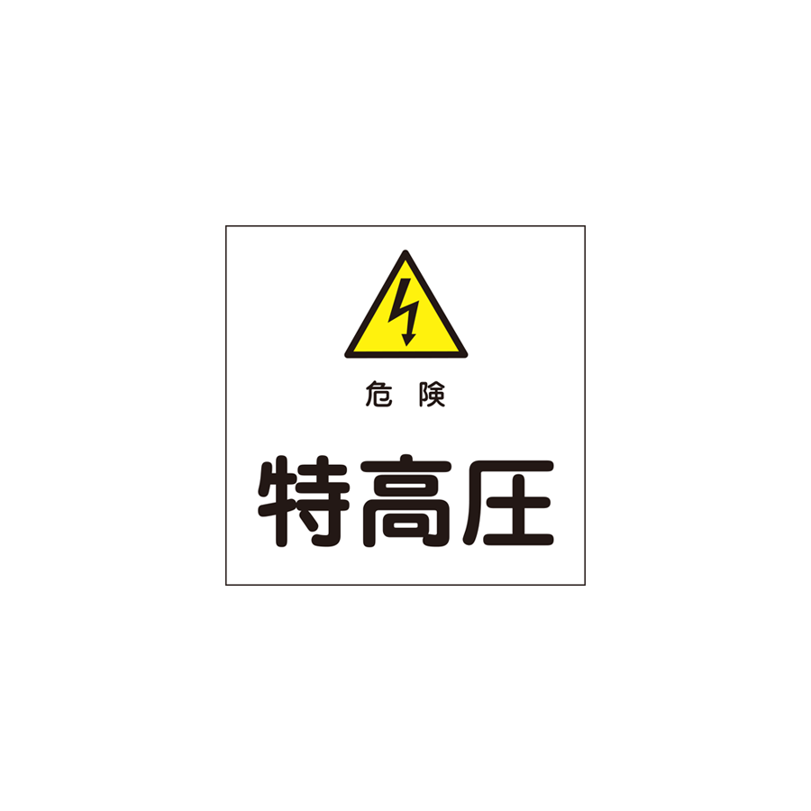 R6