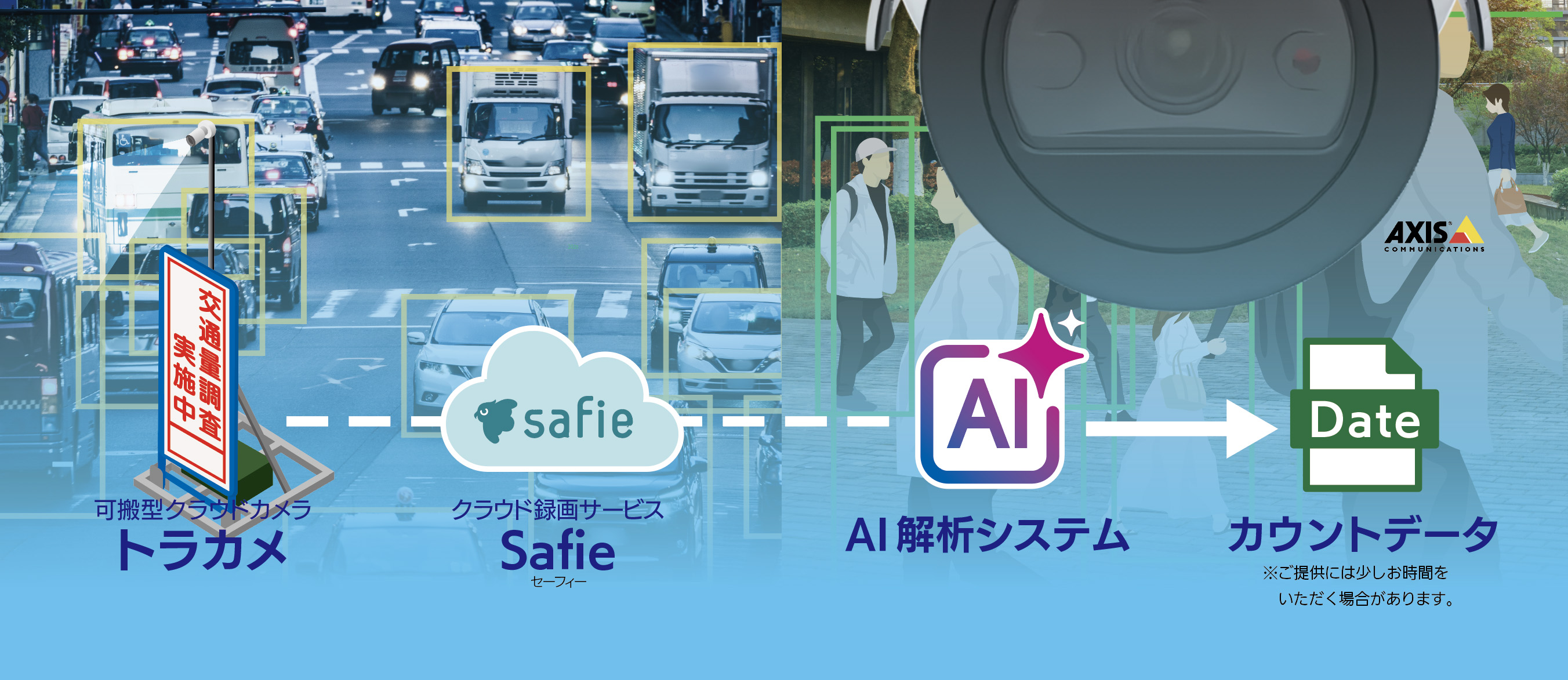 torakame-safiesurvey_2